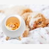 Tellur Cat Night Light