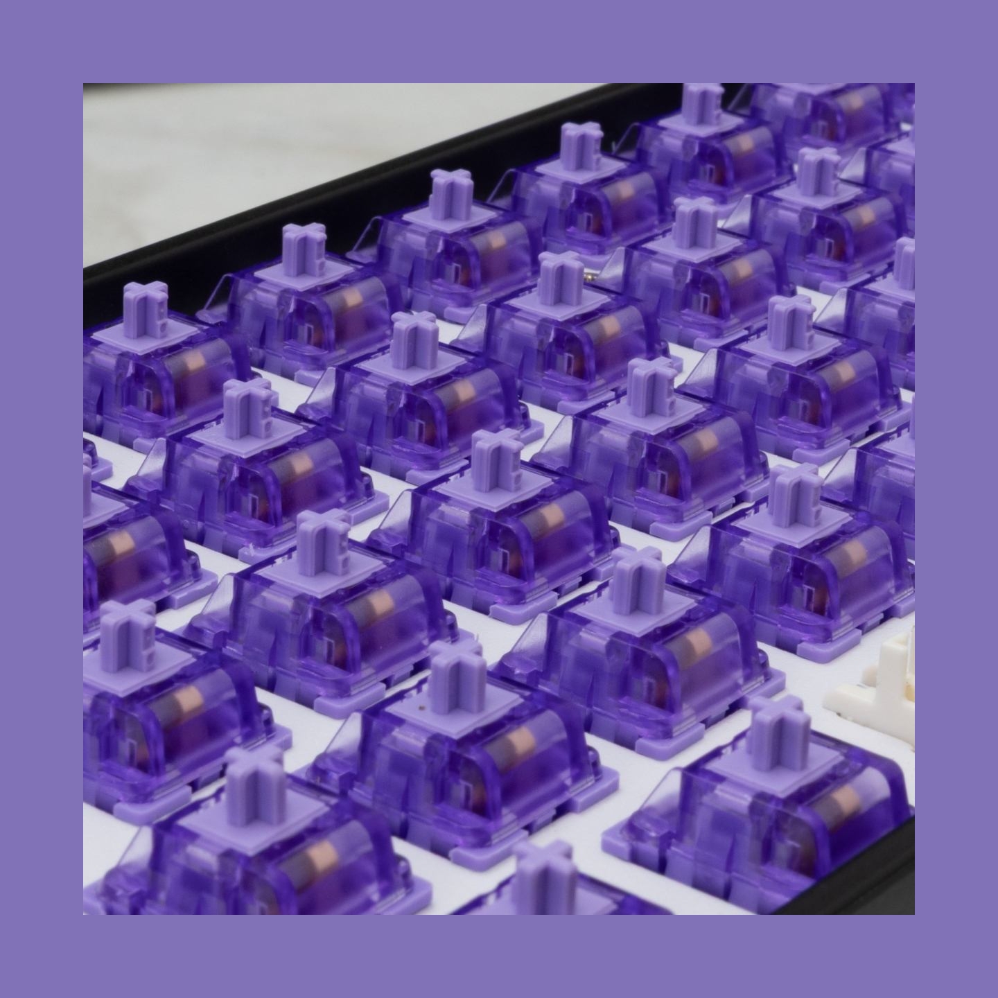 White Shark Purplepulse Mechanical Switches 65 pcs.