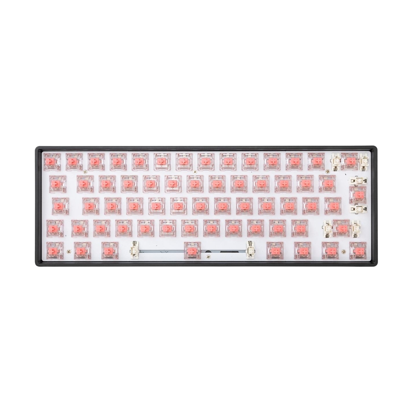 White Shark Venom Rose Mechanical Switches 25 pcs.