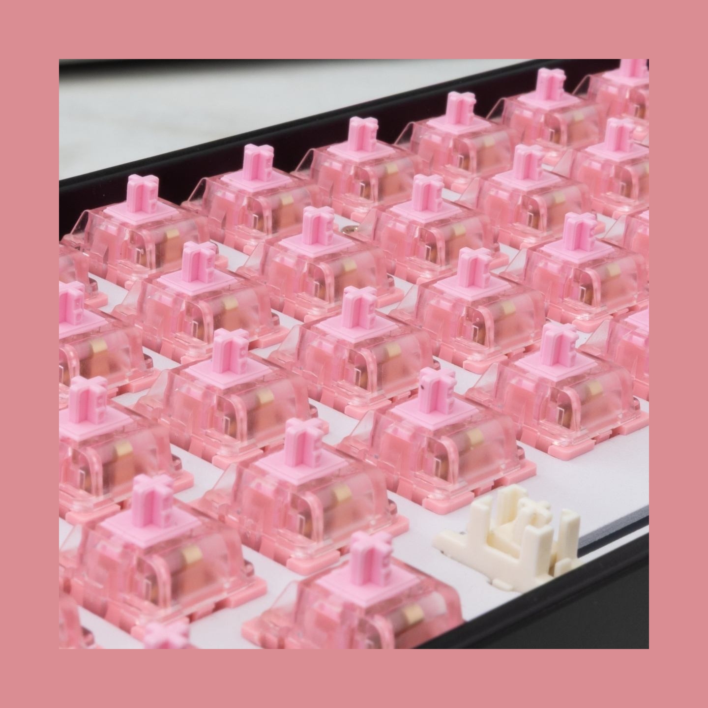 White Shark Roserift Mechanical Switches 65 pcs.
