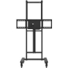 Avtek TS ELECTRIC STAND LIGHT