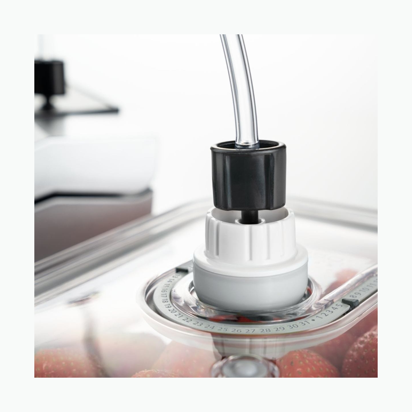 Caso | Vacuum pump and adapter | 01178 | White