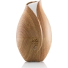 ETA | Aroma diffuser | Aria ETA463490000 | Ultrasonic | Suitable for rooms up to 25 m³ | Wood