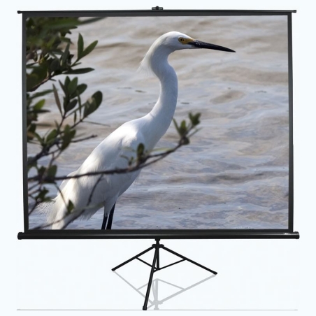 Elite Screens | Tripod Series | T100UWV1 | Diagonal 100 " | 4:3 | Viewable screen width (W) 203 cm | Black