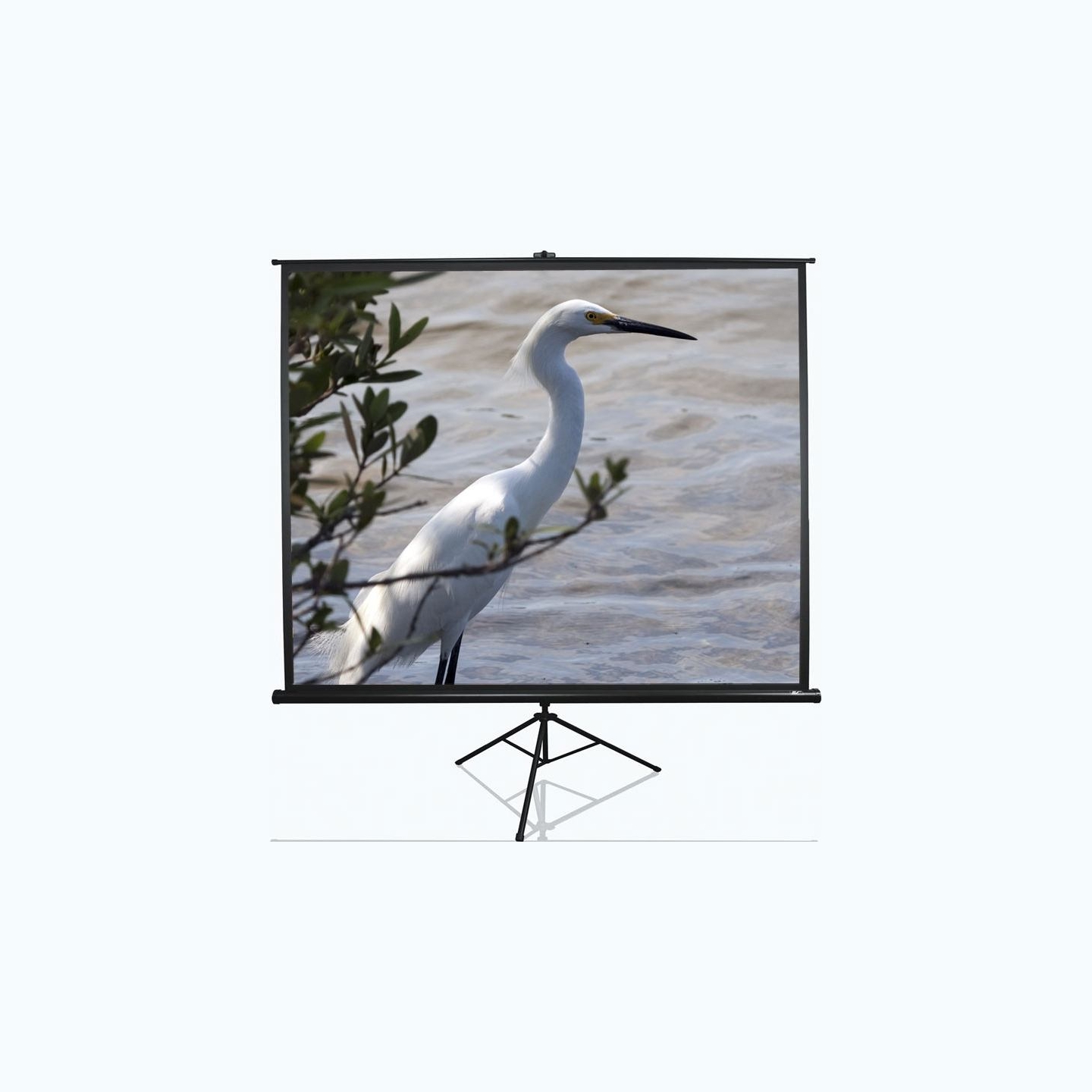 Elite Screens | Tripod Series | T100UWV1 | Diagonal 100 " | 4:3 | Viewable screen width (W) 203 cm | Black