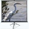 Elite Screens | Tripod Series | T100UWV1 | Diagonal 100 " | 4:3 | Viewable screen width (W) 203 cm | Black