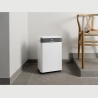 Mill | Dehumidifier | MDH20 | Suitable for rooms up to 20-30 m² | Water tank capacity 4 L | White