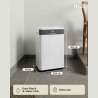 Mill | Dehumidifier | MDH20 | Suitable for rooms up to 20-30 m² | Water tank capacity 4 L | White