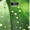 Brock BS 003 Bathroom Scale, 2xAAA Battery (included)