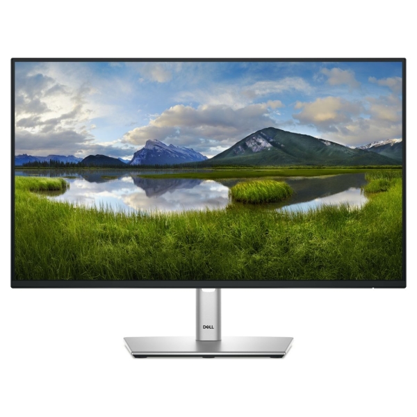 Dell 24 Monitor - P2425H, 60.5cm (23.8") 5 Y warranty / 210-BMFF_5Y