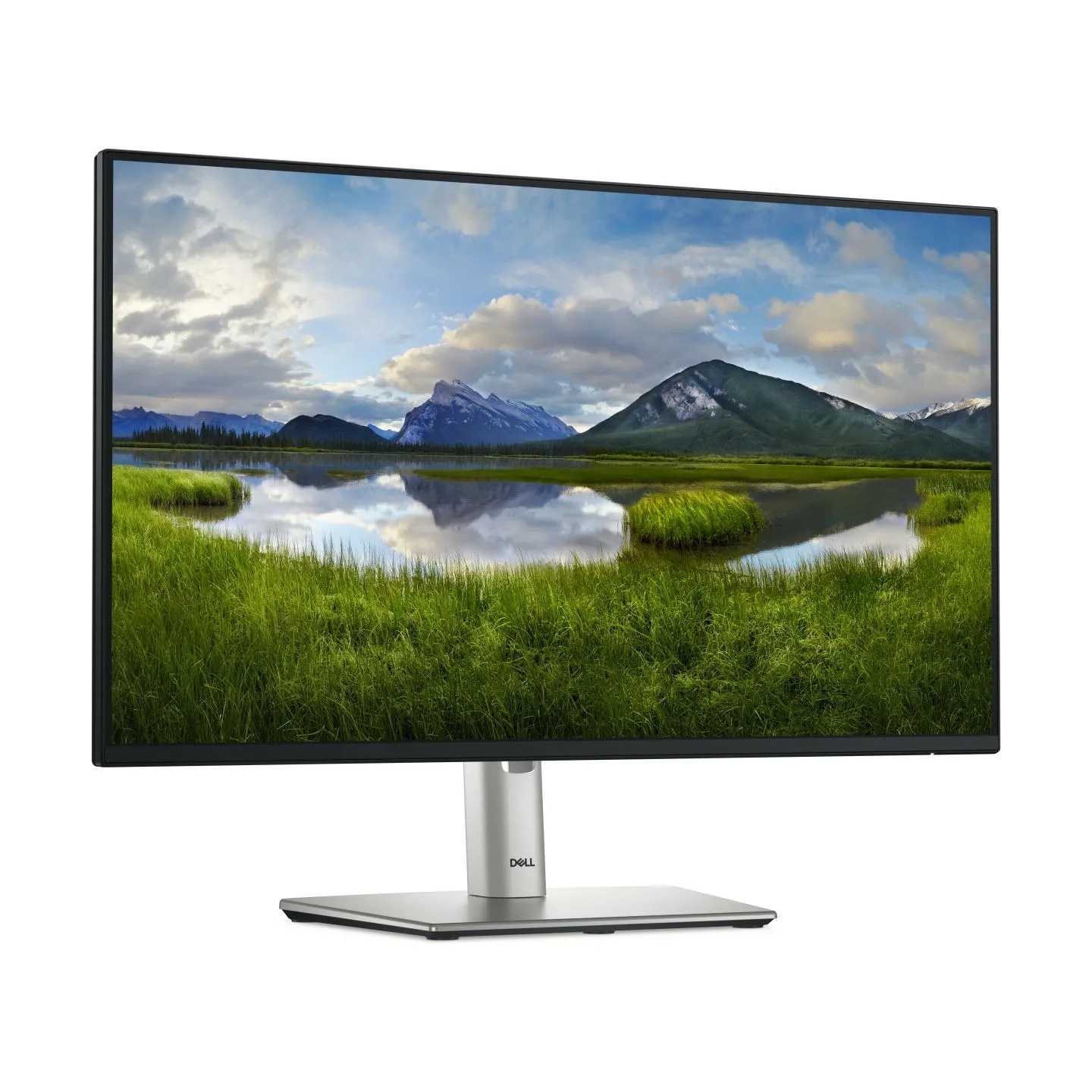 Dell 24 Monitor - P2425H, 60.5cm (23.8") 5 Y warranty / 210-BMFF_5Y