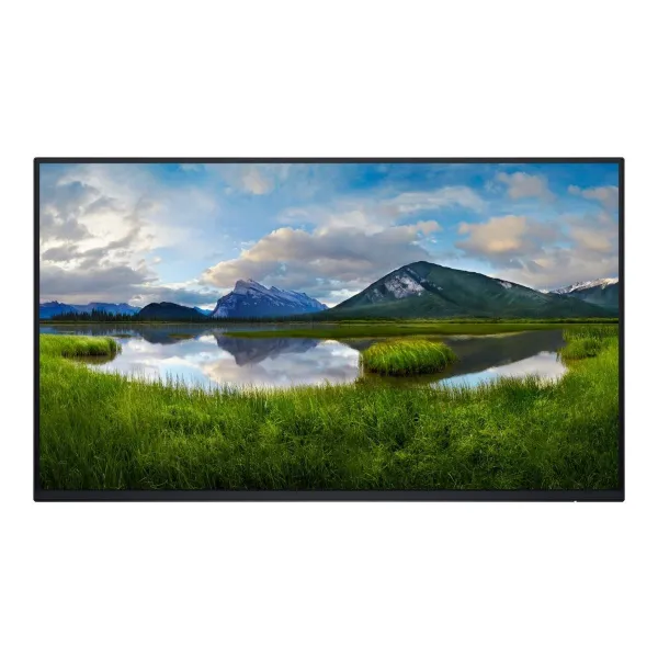 Dell 24 Monitor - P2425H, without stand, 60.5cm (23.8") / 210-BMTB