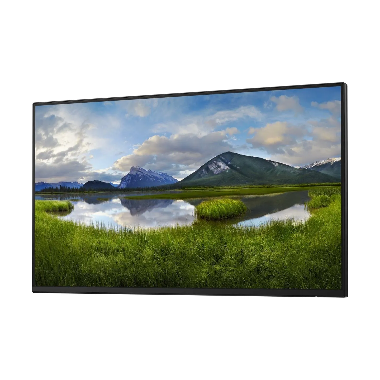 Dell 24 Monitor - P2425H, without stand, 60.5cm (23.8") / 210-BMTB