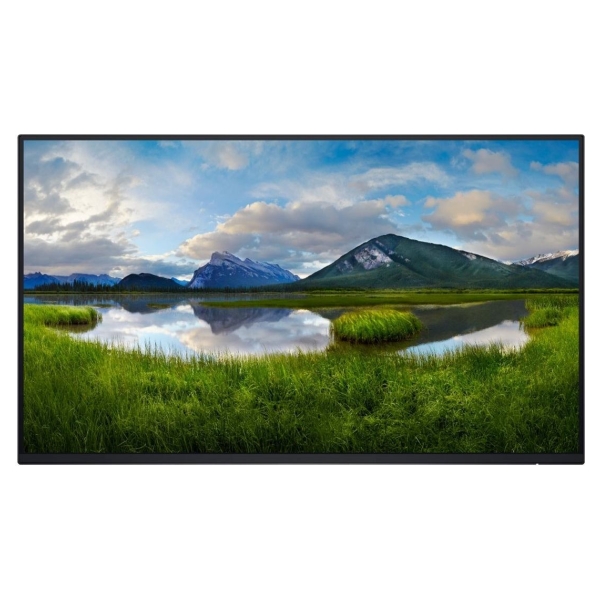 Dell Pro 24 Plus USB-C Hub Monitor - P2425HE without stand, 60.5cm (23.8") / 210-BMTC