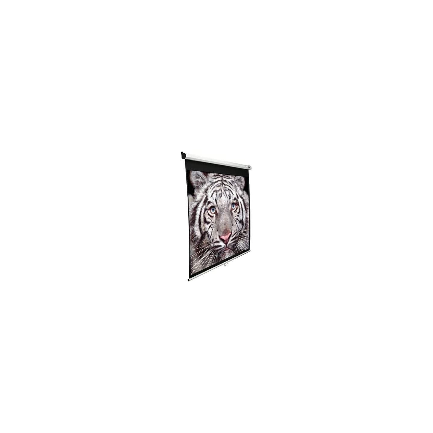 Elite Screens | Manual Series | M128NWX | Diagonal 128 " | 16:10 | Viewable screen width (W) 275 cm | White