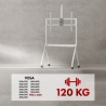 Maclean TV stand, on casters MC-114 W