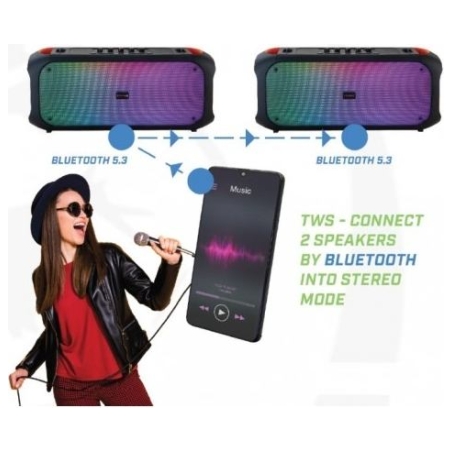 Rebeltec Bluetooth Speaker FM/USB SoundVox 650