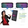 Rebeltec Bluetooth Speaker FM/USB SoundVox 650