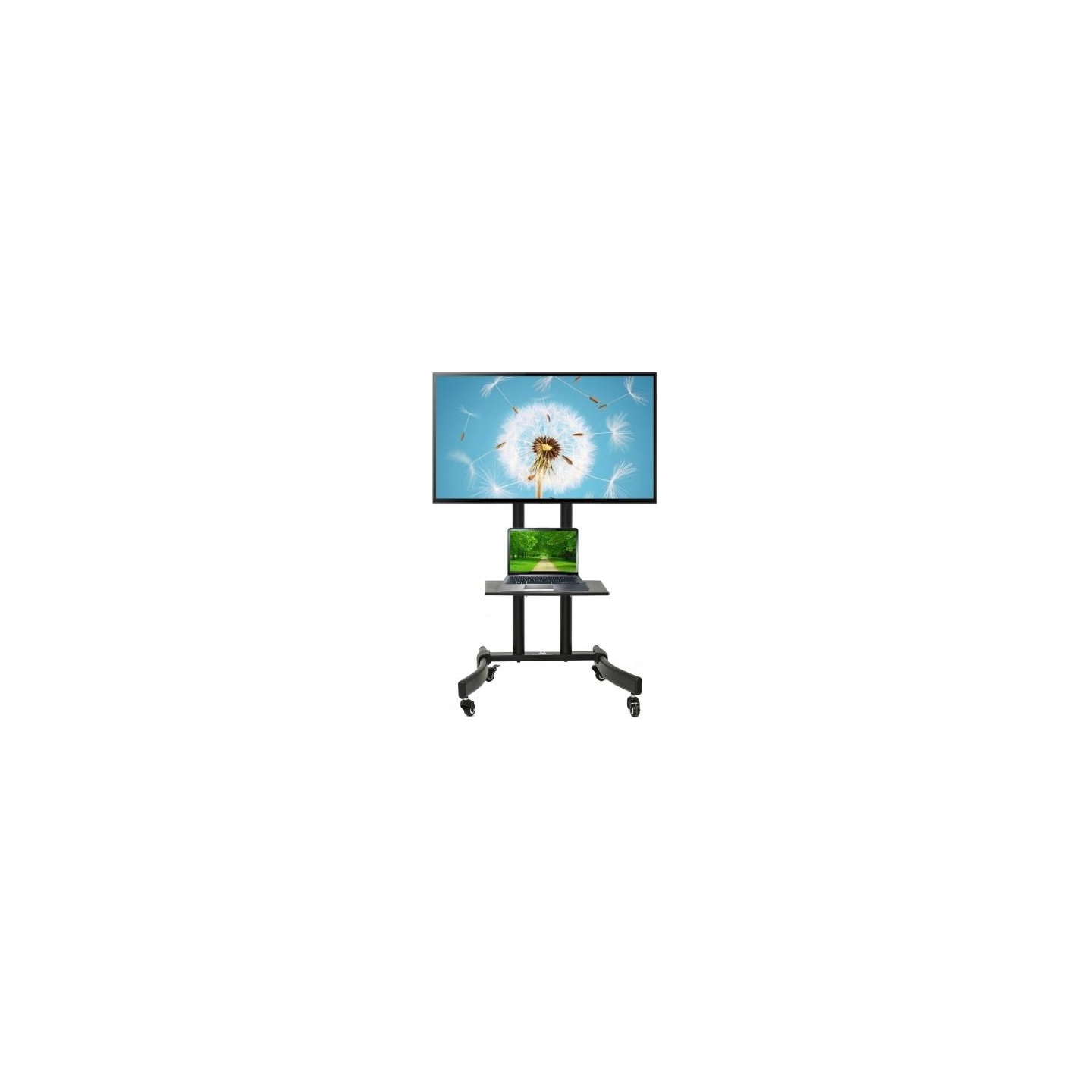 Maclean Professional TV stand trolley on wheels MC-739 max 40kg max 32-65 ''