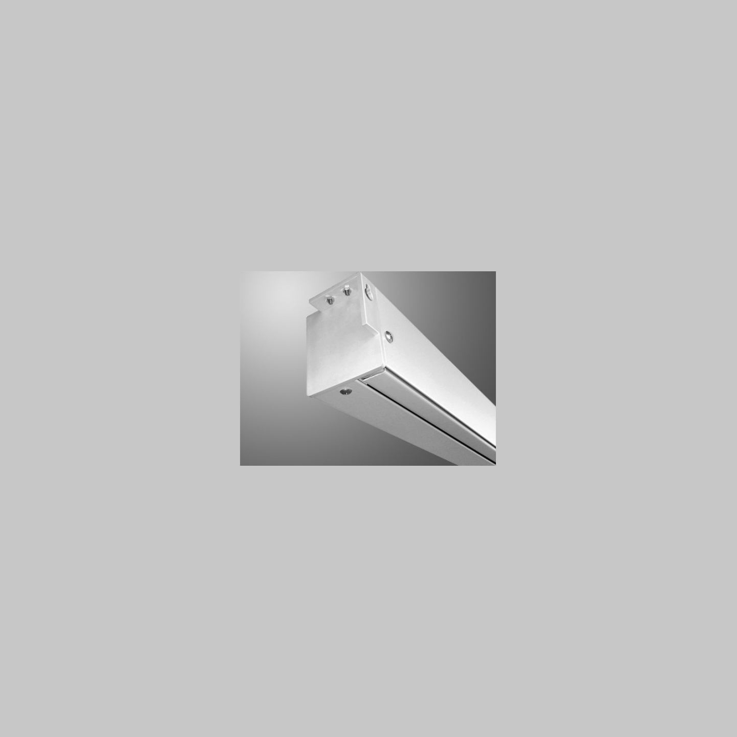 Avtek Electric Screen Business Electric 300P / 16:10 / 290x181cm / Matt White