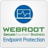 Webroot | Business Endpoint Protection with GSM Console | Antivirus Business Edition | 1 year(s) | License quantity 10-99 user(s