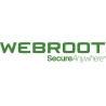 Webroot | DNS Protection with GSM Console | 2 year(s) | License quantity 10-99 user(s)