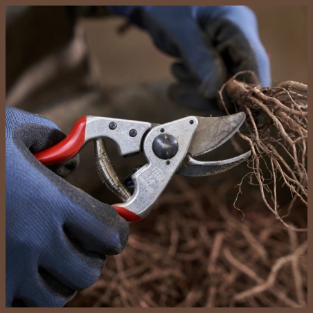 Felco | One-hand pruning shear | FELCO 14