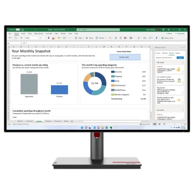 Lenovo ThinkVision P27h-30 - QHD / 63A1GAT1EU