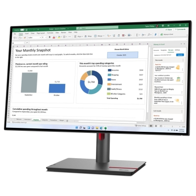 Lenovo ThinkVision P27h-30 - QHD / 63A1GAT1EU