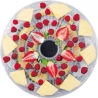 Concept Food dehydrator SO2020