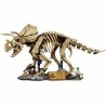 Lego Jurassic World 77985 Dinosaur Skeletons: Triceratops Blocks