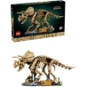 Lego Jurassic World 77985 Dinosaur Skeletons: Triceratops Blocks