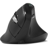 Port Connect Mouse | ERGO AUDITOR | Wireless | Bluetooth, 2.4 GHz | Black