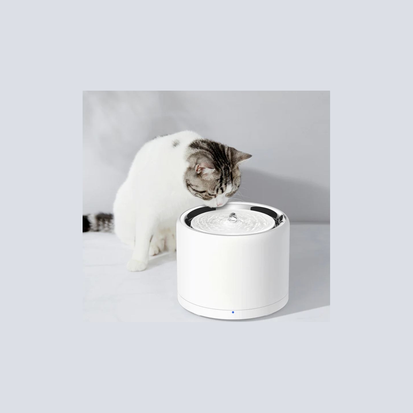 Petkit | Smart Pet Drinking Fountain | Eversweet 3 Pro  (UVC) | Capacity 1.8 L | Filtering | Material Stainless Steel | White