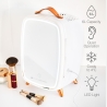 RIO FRBM-EU/1,0 6L Beauty Skincare Fridge Whit Mirror
