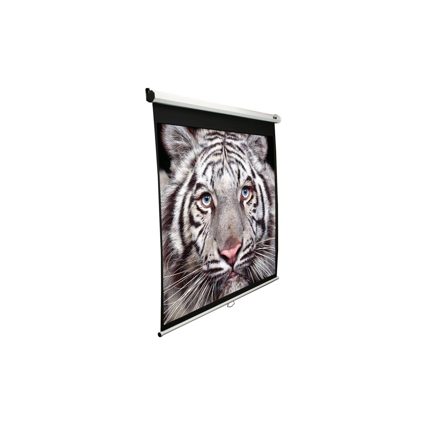 Elite Screens | Manual Series | M99NWS1 | Diagonal 99 " | 1:1 | Viewable screen width (W) 178 cm | White