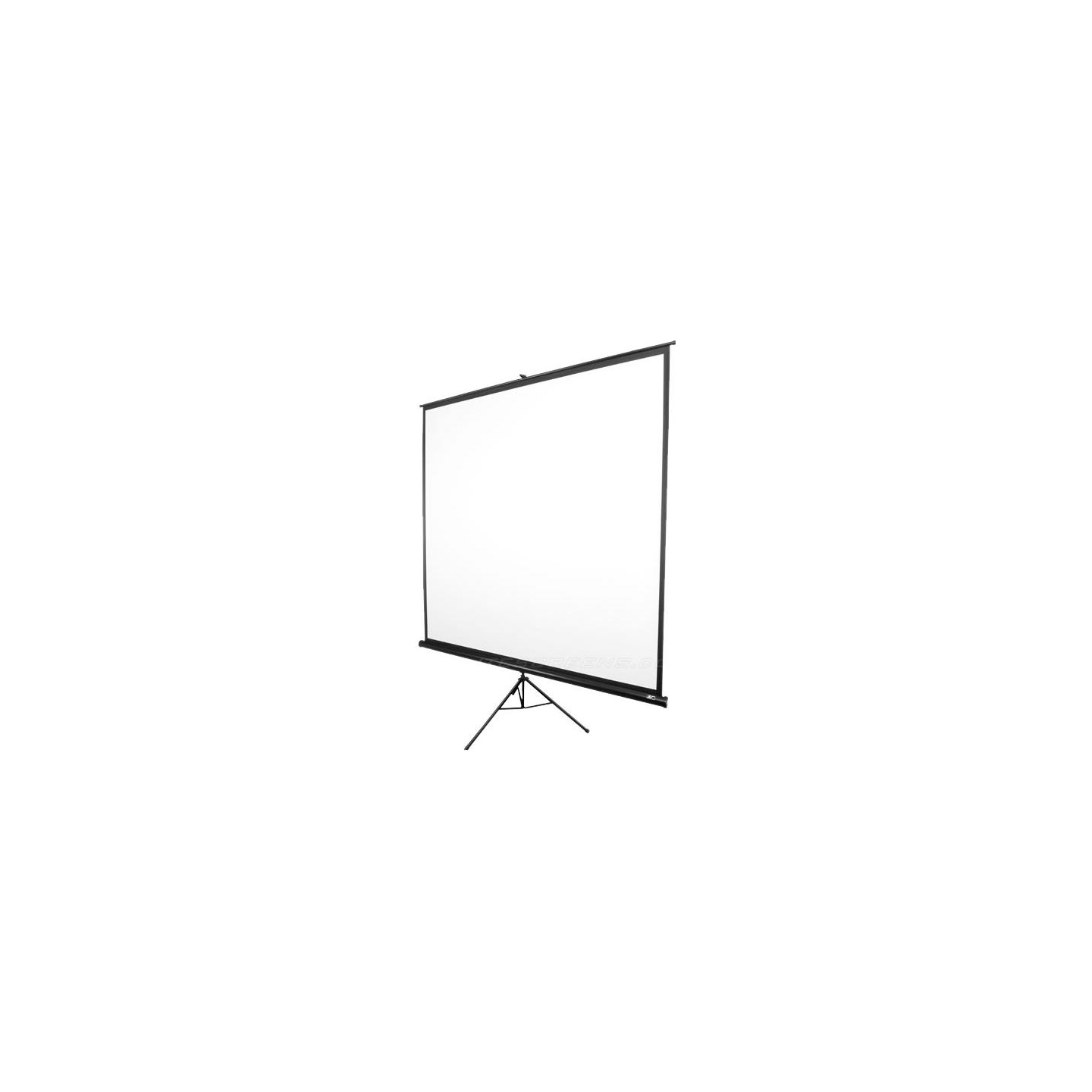 Elite Screens | Tripod Series | T85NWS1 | Diagonal 85 " | 1:1 | Viewable screen width (W) 152 cm | White