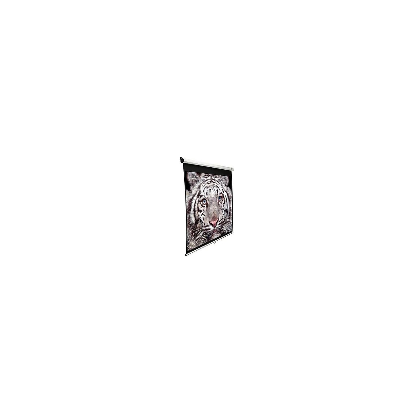 Elite Screens | Manual Series | M135XWH2 | Diagonal 135 " | 16:9 | Viewable screen width (W) 299 cm | White