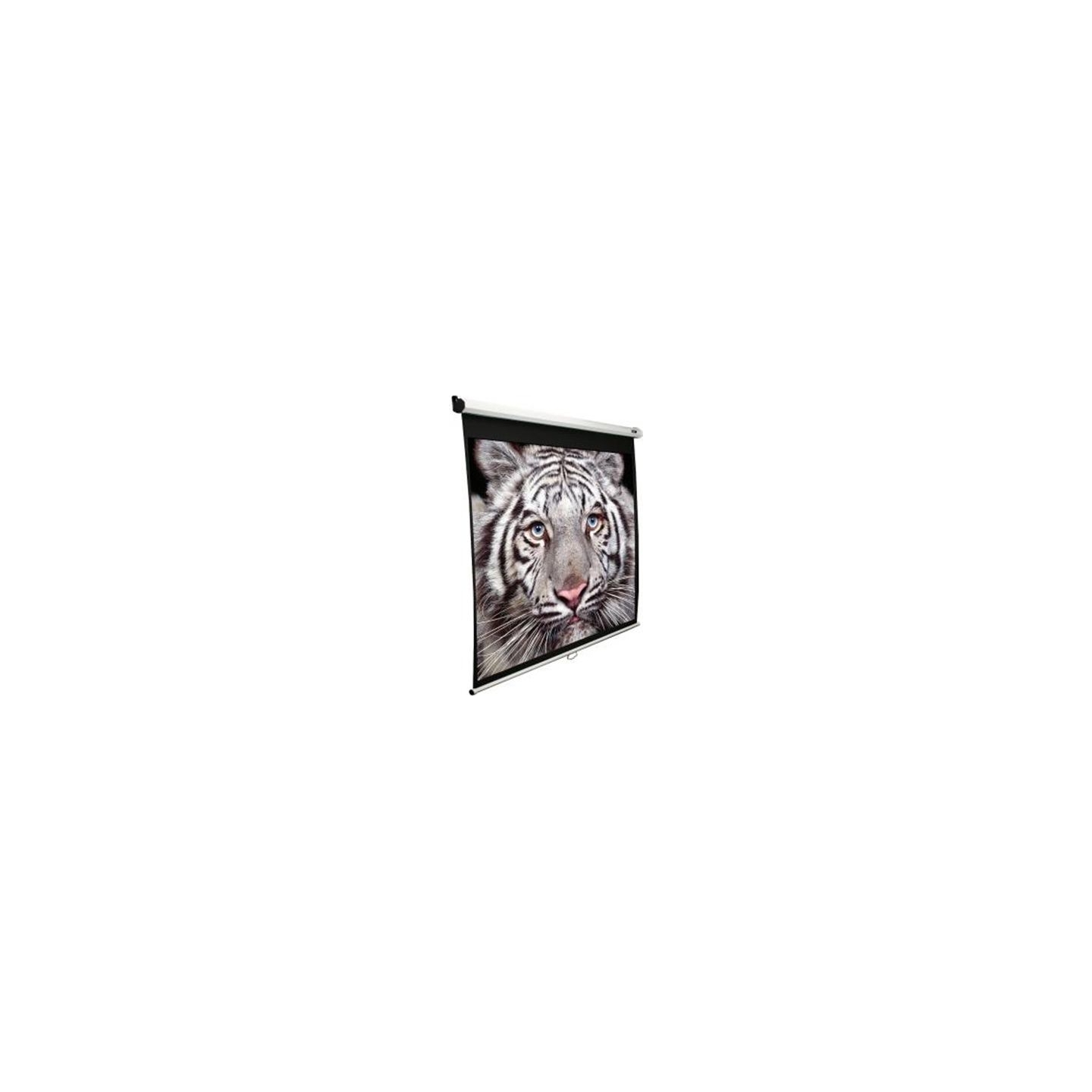 Elite Screens | M139NWX | Diagonal 353 " | 16:10 | Viewable screen width (W) 2.98 cm | White