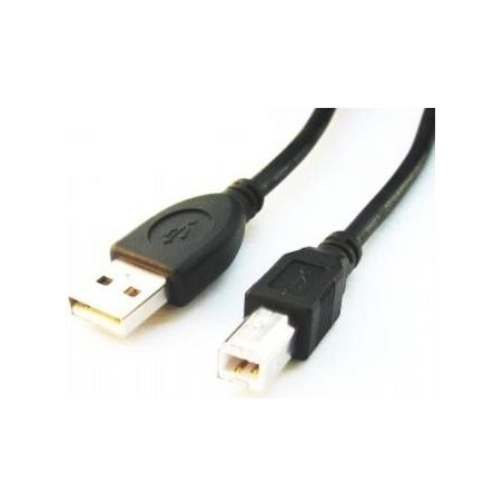Cablexpert | CCP-USB2-AMBM-6 | USB-A to USB-B USB A | USB B