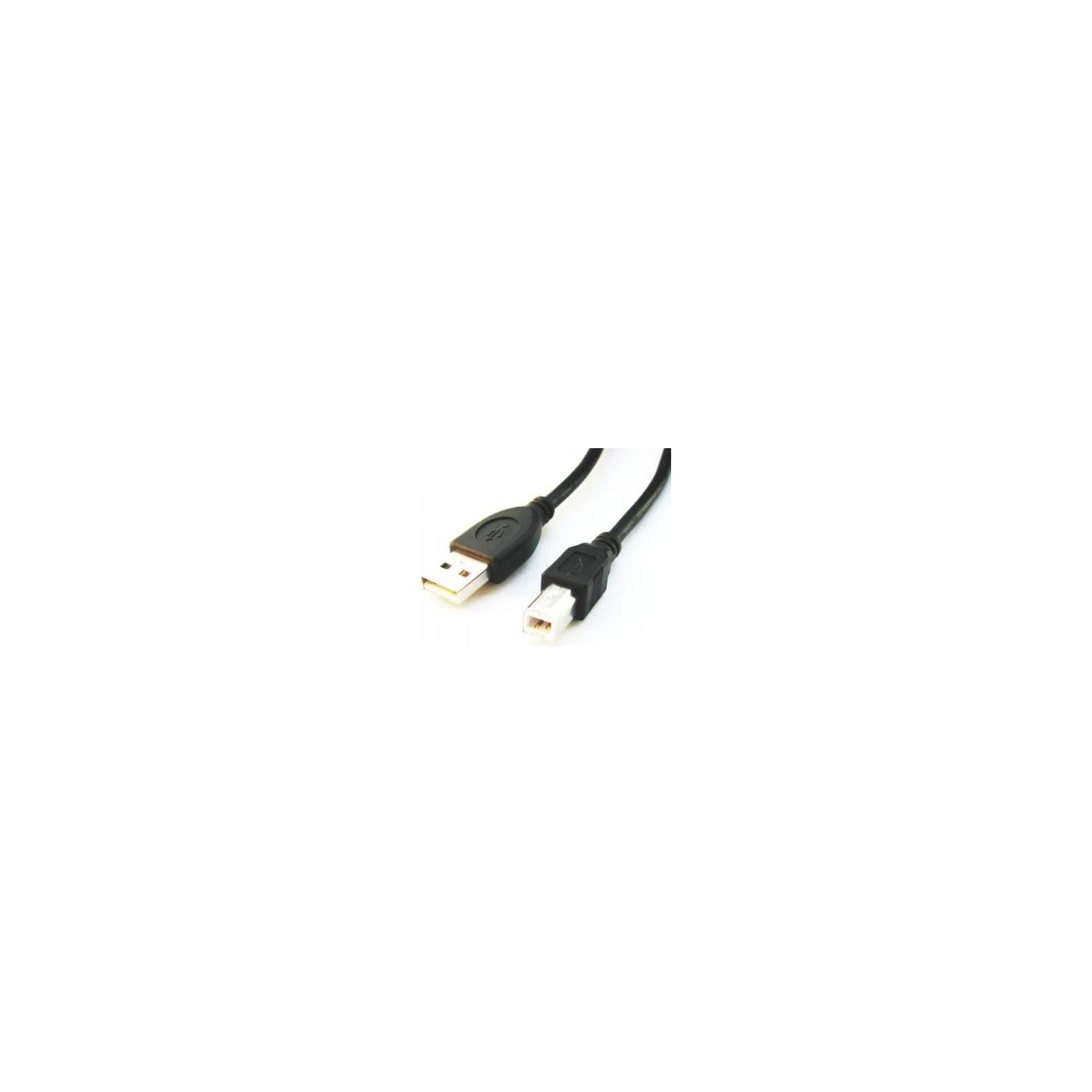 Cablexpert | CCP-USB2-AMBM-6 | USB-A to USB-B USB A | USB B