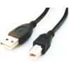 Cablexpert | CCP-USB2-AMBM-6 | USB-A to USB-B USB A | USB B