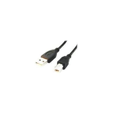 Cablexpert | CCP-USB2-AMBM-6 | USB-A to USB-B USB A | USB B