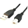 Cablexpert | CCP-USB2-AMBM-6 | USB-A to USB-B USB A | USB B