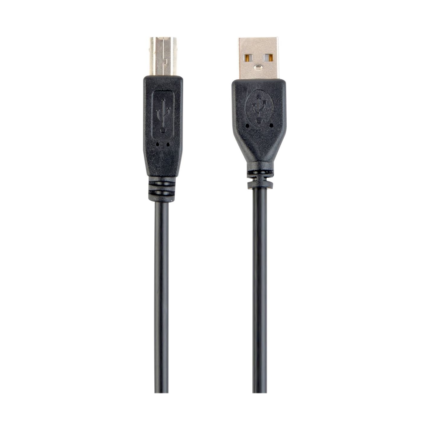 Cablexpert | CCP-USB2-AMBM-6 | USB-A to USB-B USB A | USB B