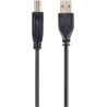 Cablexpert | CCP-USB2-AMBM-6 | USB-A to USB-B USB A | USB B