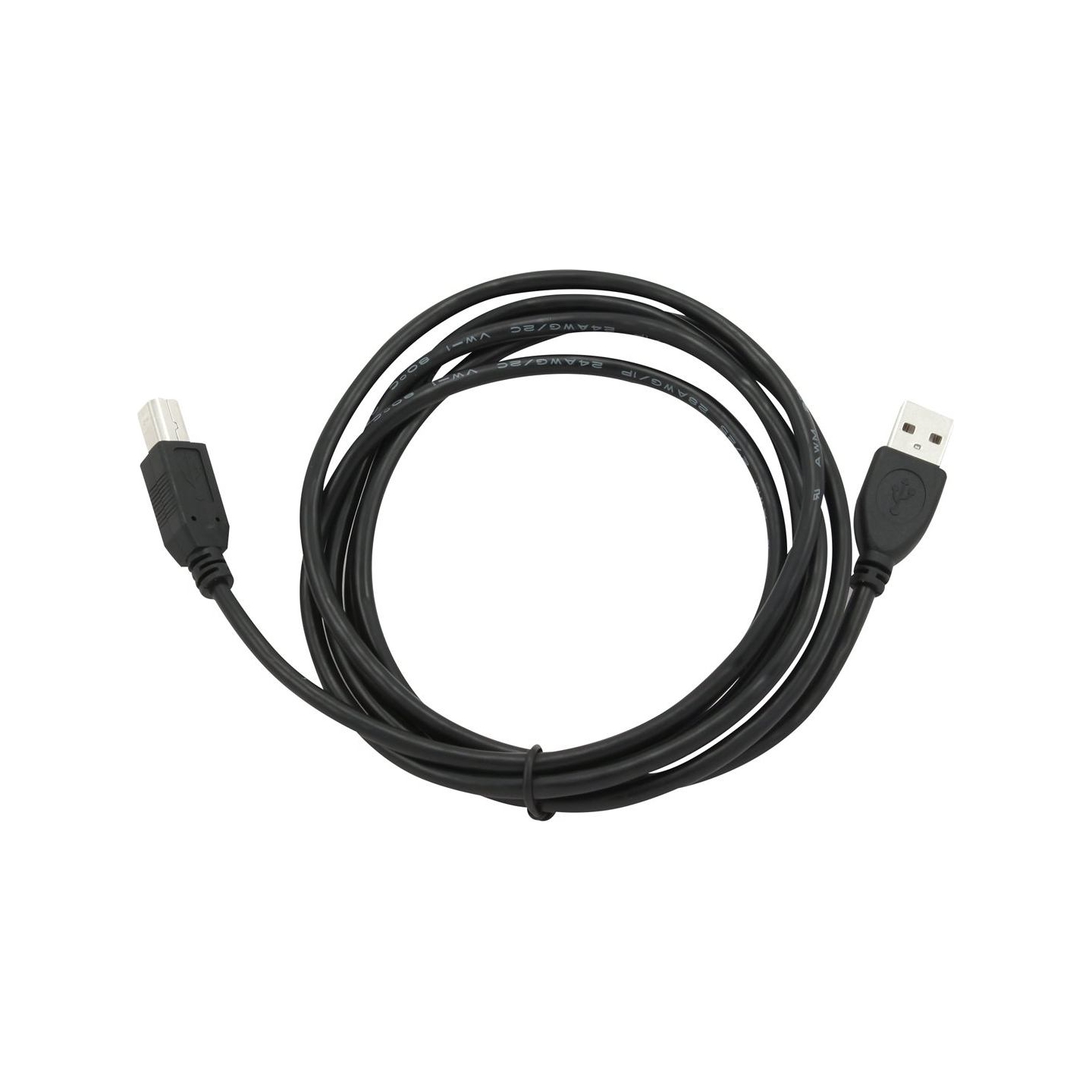 Cablexpert | CCP-USB2-AMBM-6 | USB-A to USB-B USB A | USB B