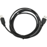 Cablexpert | CCP-USB2-AMBM-6 | USB-A to USB-B USB A | USB B