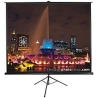 Elite Screens | Tripod Series | T119UWS1 | Diagonal 119 " | 1:1 | Viewable screen width (W) 213 cm | Black