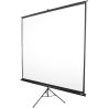 Elite Screens | Tripod Series | T120NWV1 | Diagonal 120 " | 4:3 | Viewable screen width (W) 244 cm | White